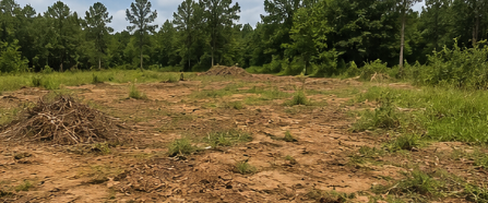 Before: Raw land before house pad construction in Shreveport area